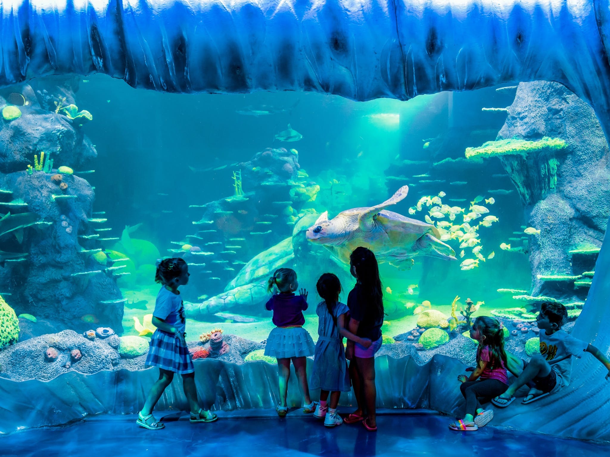 aquariums in sydney australia