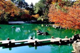 auburn botanic gardens sydney