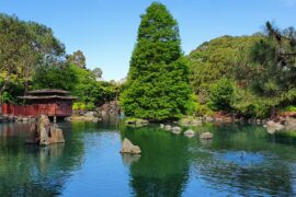 auburn japanese gardens opening hours sydney