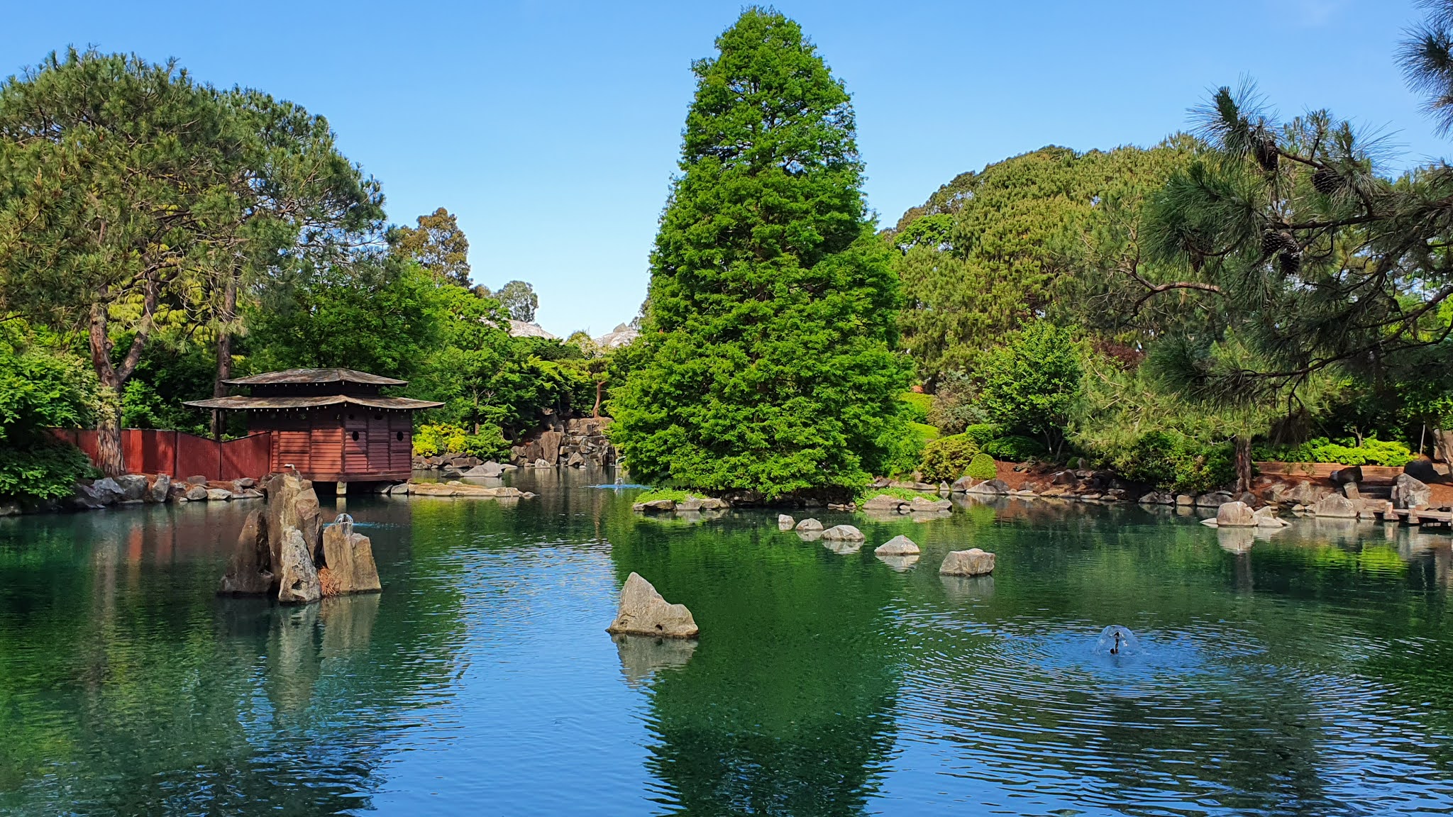 auburn japanese gardens opening hours sydney