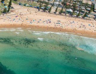 australia day dee why beach sydney