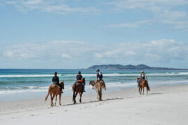 beach horse riding nsw sydney