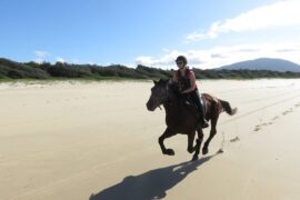 beach horse riding sydney