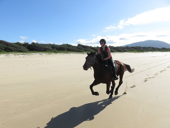 beach horse riding sydney