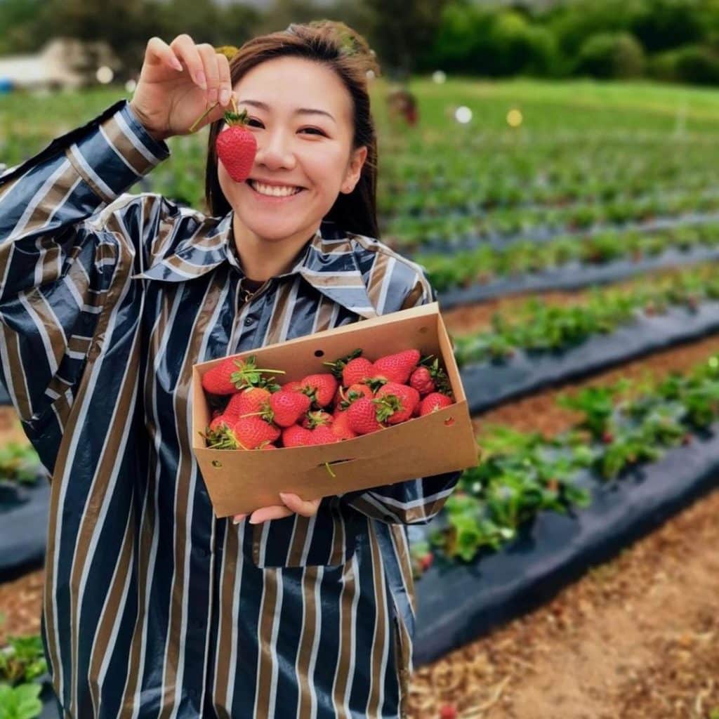 beerenberg strawberry picking