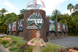 beerwah australia zoo