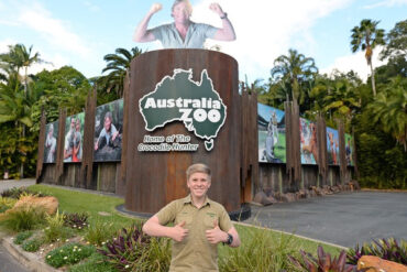 beerwah australia zoo