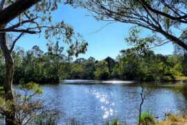 belair national park adelaide