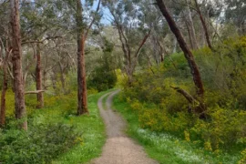 belair national park south australia