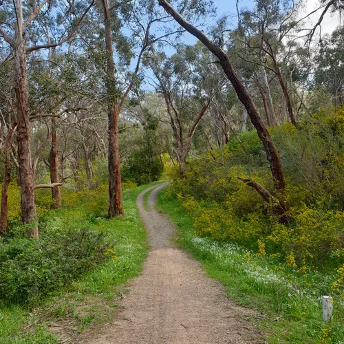 belair national park south australia