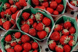 berries picking near me adelaide