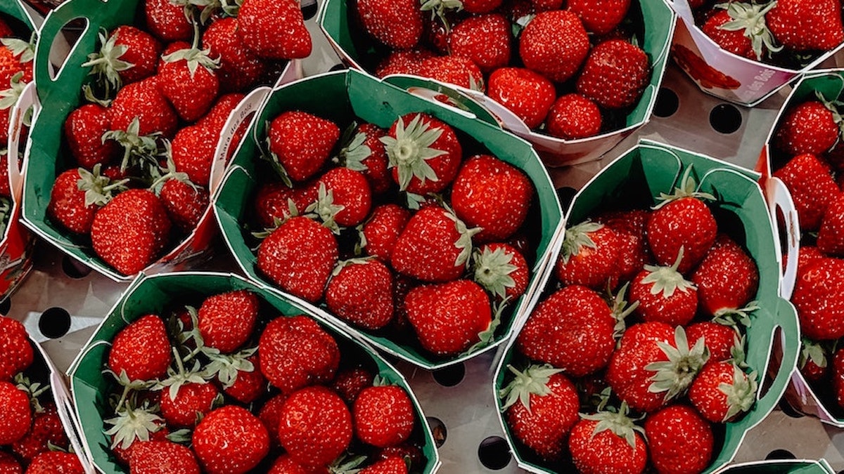 berries picking near me adelaide