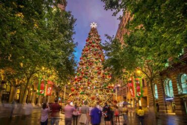 best christmas tree sydney