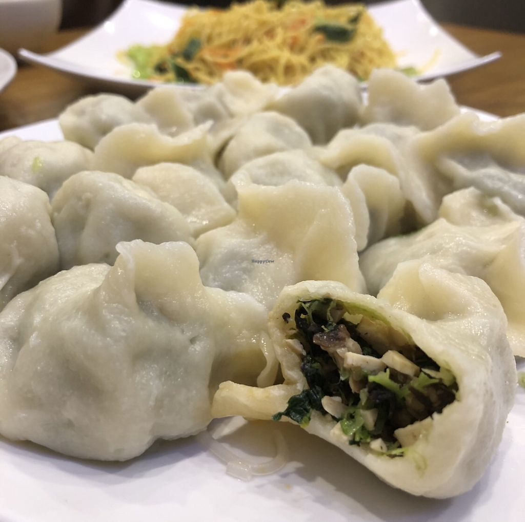 best dumplings sydney