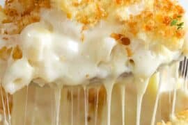 best recipes macaroni cheese