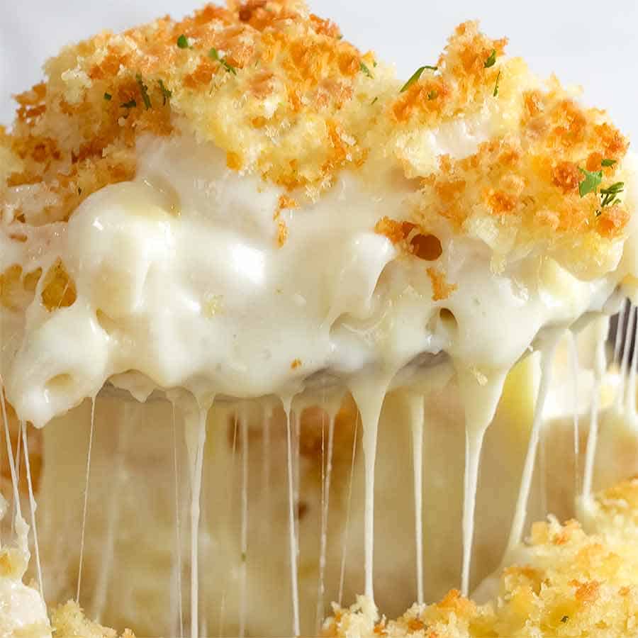 best recipes macaroni cheese