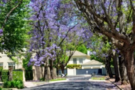 best suburbs in adelaide