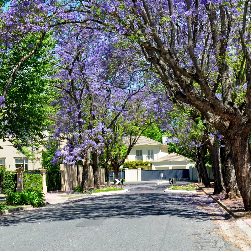 best suburbs in adelaide