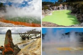 best things to do in rotorua nz