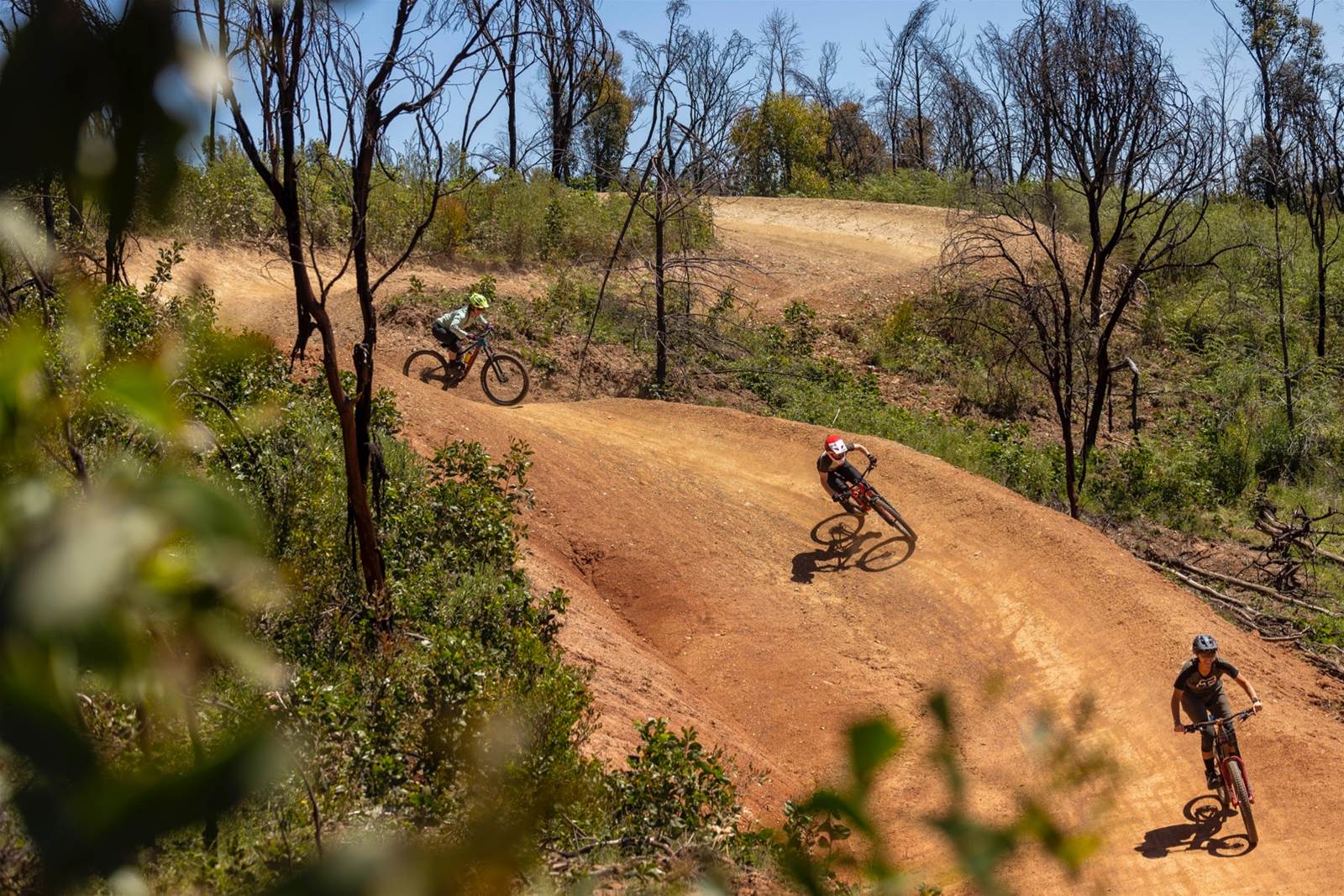 bicycle park near me adelaide