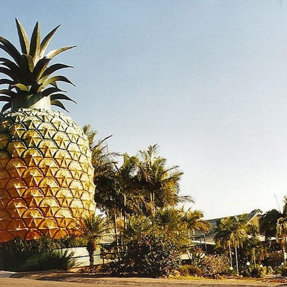 big pineapple australia