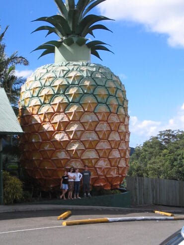 big pineapple queensland