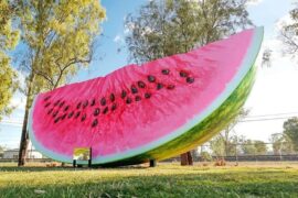 big watermelon