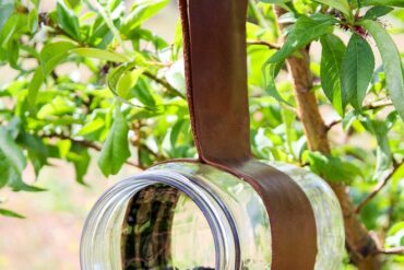 bird feeder diy