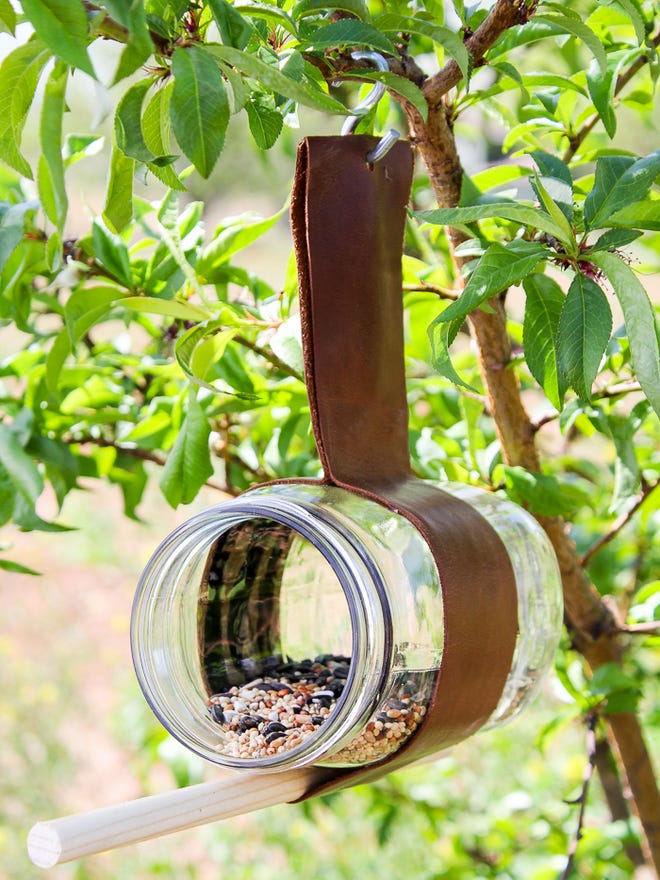 bird feeder diy