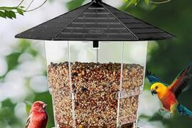 bird feeders