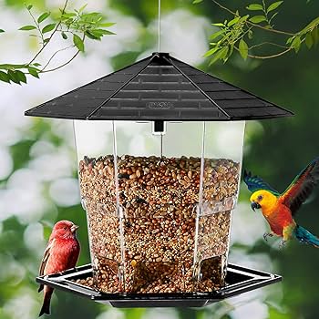 bird feeders