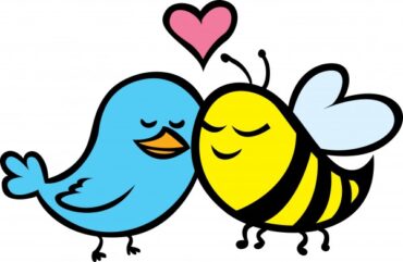 birds and the bees