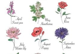 birth flower chart