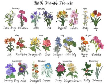 birth flower for each month