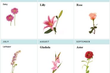 birth flowers by date