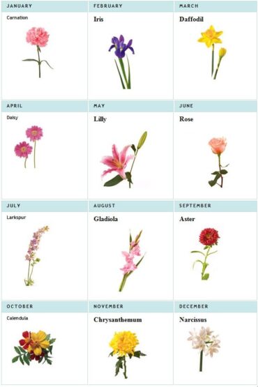 birth flowers by date