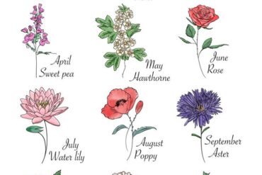 birth flowers by month