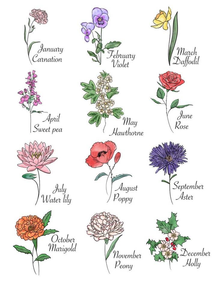 birth flowers by month