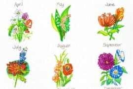 birth flowers chart