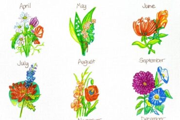 birth flowers chart