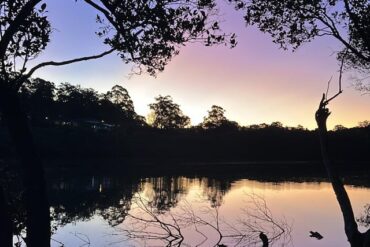 blackman oval lane cove sydney