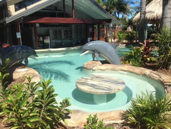 blue dolphin holiday resort yamba