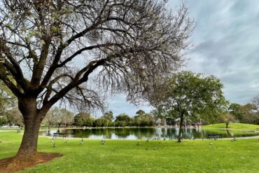 bonython park