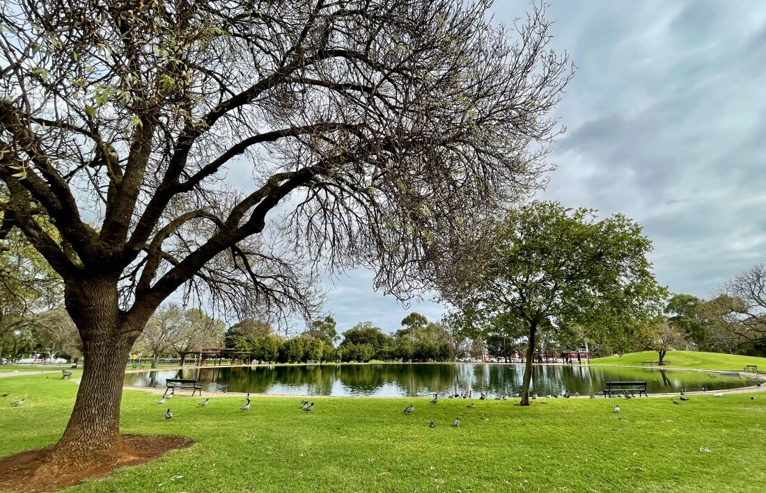 bonython park