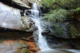 boronia park hunters hill sydney