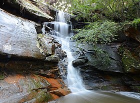 boronia park hunters hill sydney