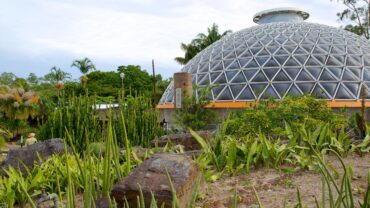 botanic gardens in brisbane