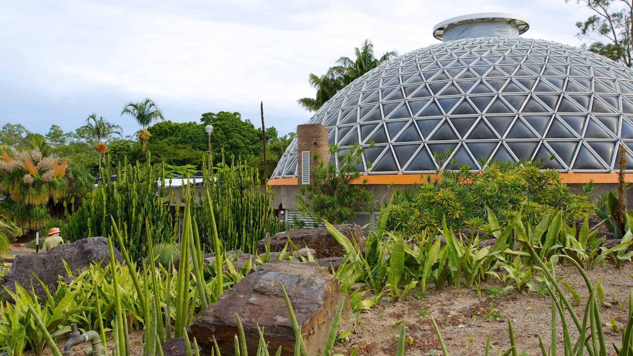 botanic gardens in brisbane