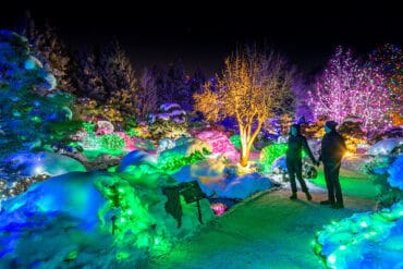 botanic gardens light show