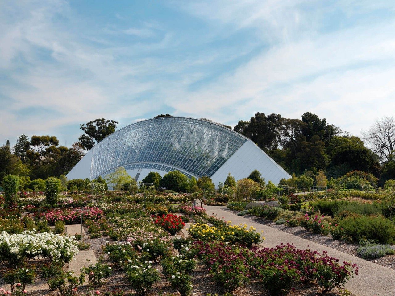 botanic gardens of adelaide